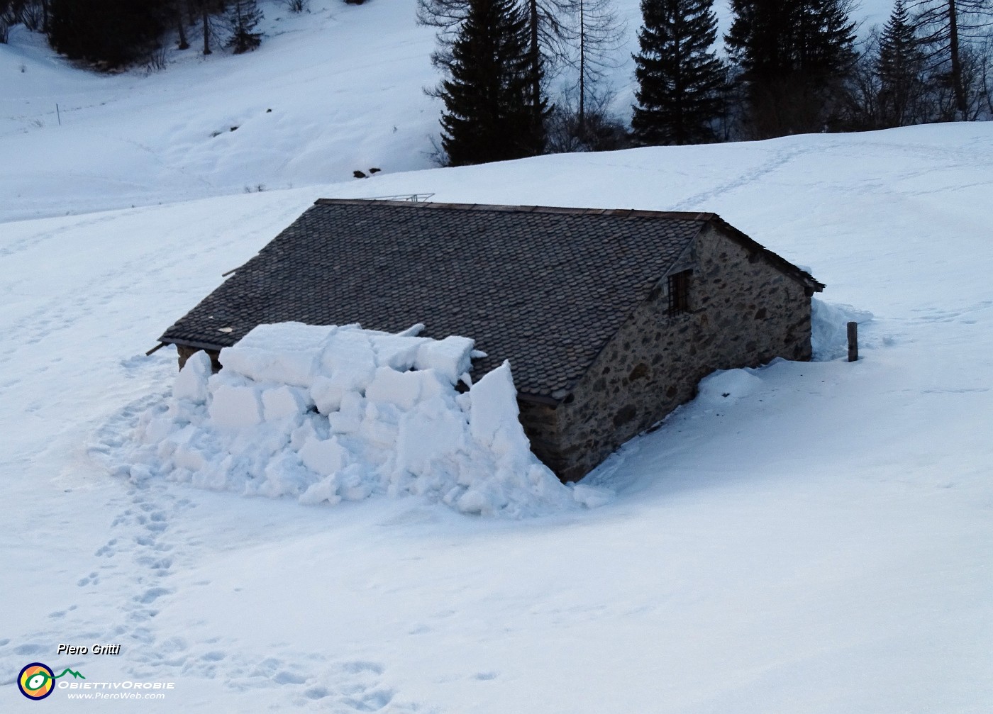 73 La biata ha scrollato di dosso la neve.JPG -                                